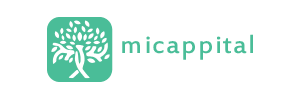 Micappital ES