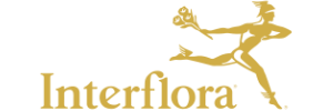 Interflora.no