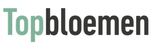 Topbloemen NL