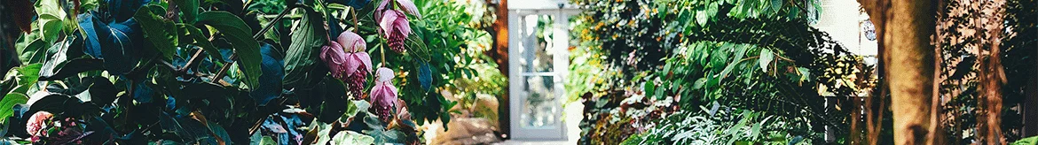 AYTM - Circum Spejl Ø90 Rav billede