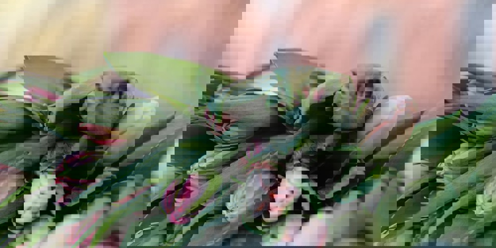 Kevään promousvinkit 2025